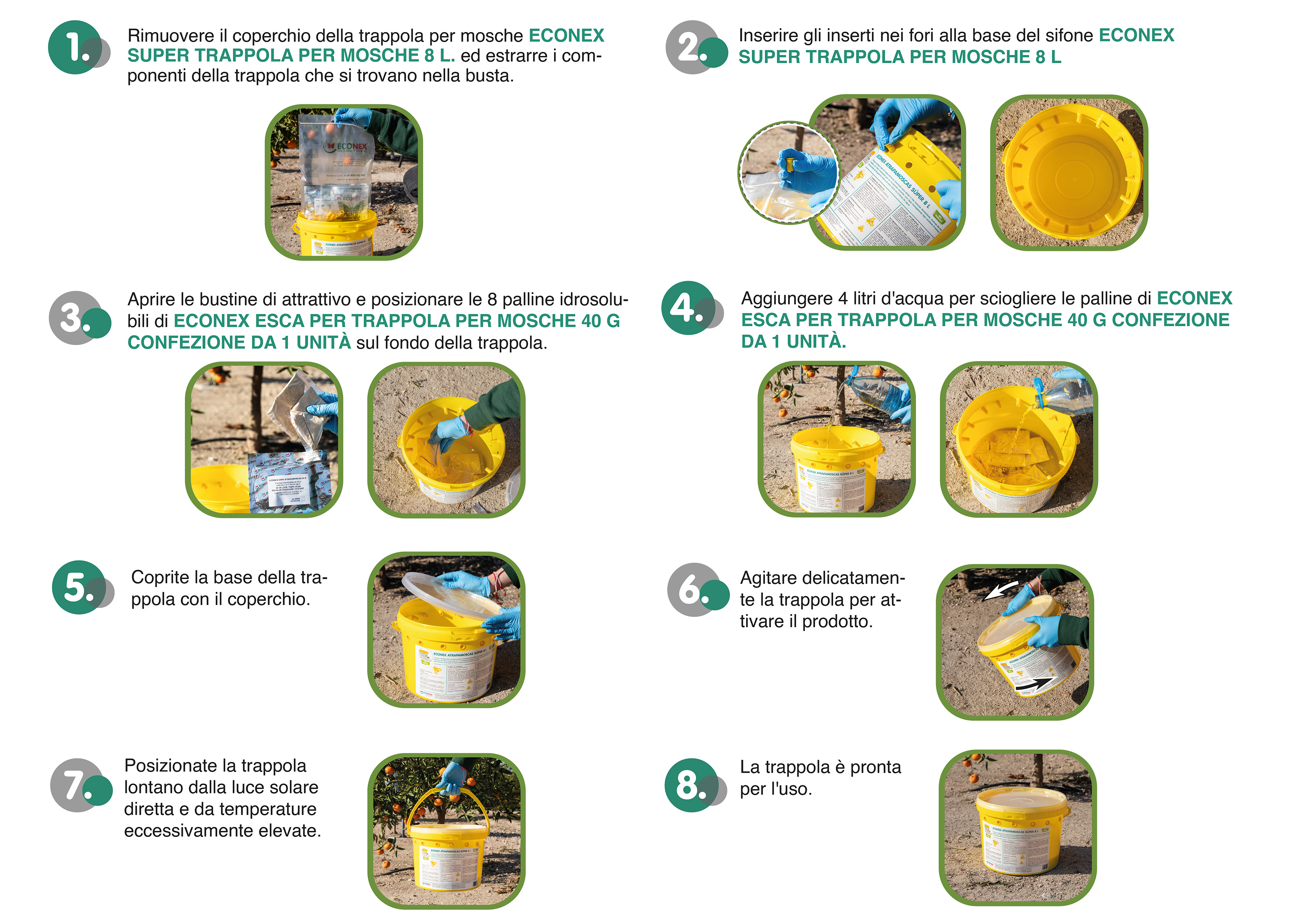 Schema del foglio di montaggio